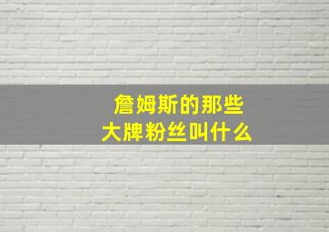 詹姆斯的那些大牌粉丝叫什么