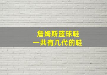 詹姆斯篮球鞋一共有几代的鞋