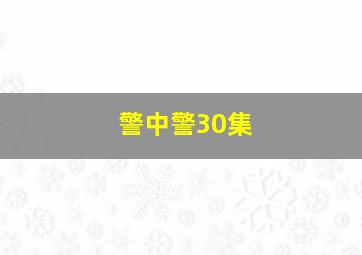 警中警30集