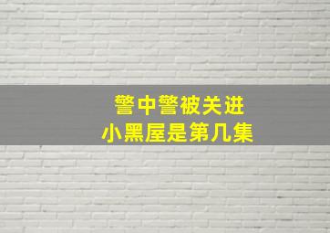 警中警被关进小黑屋是第几集