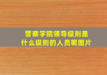 警察学院领导级别是什么级别的人员呢图片