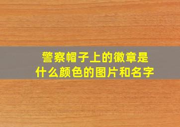 警察帽子上的徽章是什么颜色的图片和名字