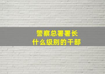 警察总署署长什么级别的干部