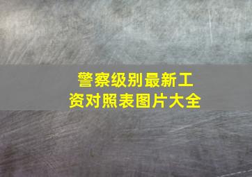 警察级别最新工资对照表图片大全