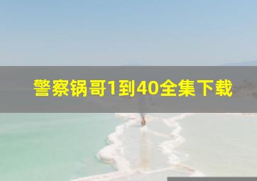 警察锅哥1到40全集下载