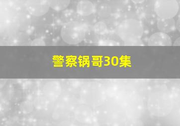 警察锅哥30集