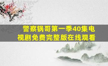 警察锅哥第一季40集电视剧免费完整版在线观看