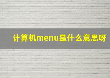 计算机menu是什么意思呀