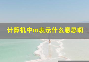 计算机中m表示什么意思啊