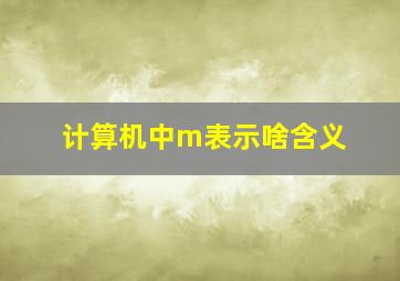 计算机中m表示啥含义