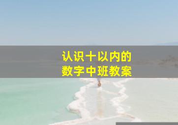 认识十以内的数字中班教案