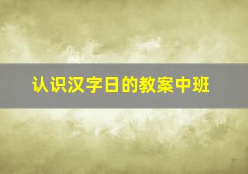 认识汉字日的教案中班