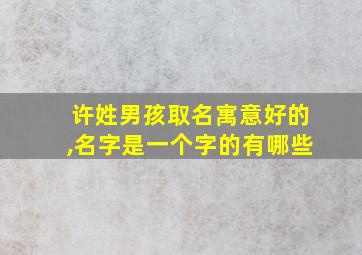 许姓男孩取名寓意好的,名字是一个字的有哪些