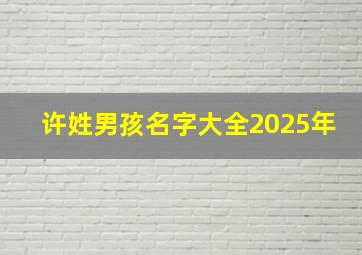 许姓男孩名字大全2025年