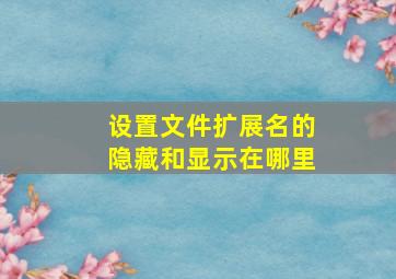 设置文件扩展名的隐藏和显示在哪里