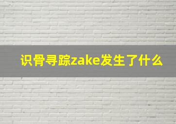 识骨寻踪zake发生了什么