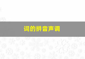 词的拼音声调