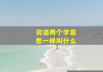 词语两个字意思一样叫什么