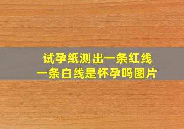 试孕纸测出一条红线一条白线是怀孕吗图片