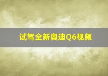 试驾全新奥迪Q6视频