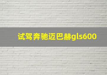 试驾奔驰迈巴赫gls600