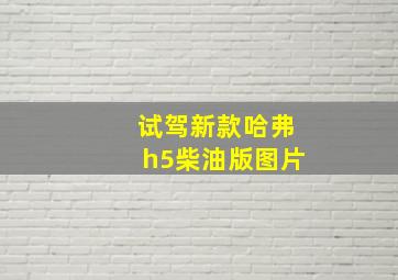 试驾新款哈弗h5柴油版图片