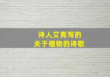 诗人艾青写的关于植物的诗歌