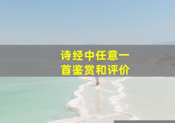 诗经中任意一首鉴赏和评价