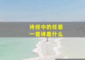 诗经中的任意一首诗是什么