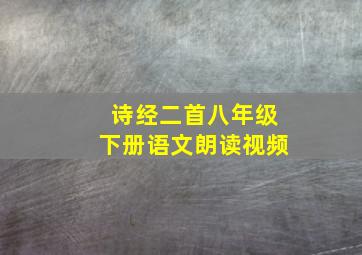 诗经二首八年级下册语文朗读视频