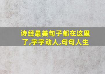 诗经最美句子都在这里了,字字动人,句句人生