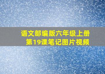 语文部编版六年级上册第19课笔记图片视频