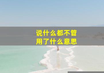 说什么都不管用了什么意思