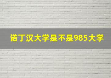 诺丁汉大学是不是985大学