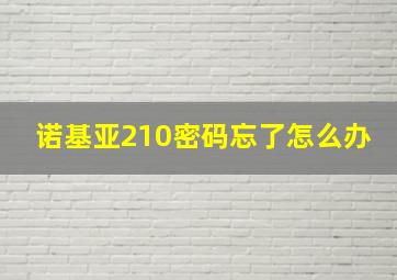 诺基亚210密码忘了怎么办