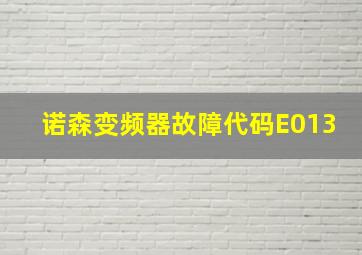 诺森变频器故障代码E013