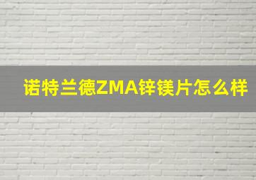 诺特兰德ZMA锌镁片怎么样