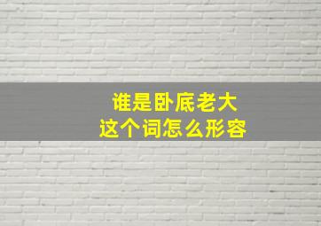 谁是卧底老大这个词怎么形容