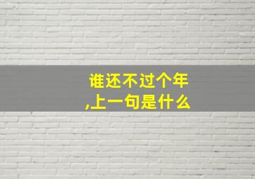 谁还不过个年,上一句是什么