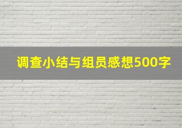 调查小结与组员感想500字