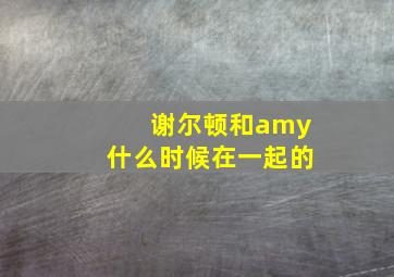 谢尔顿和amy什么时候在一起的