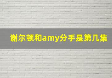 谢尔顿和amy分手是第几集