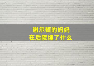 谢尔顿的妈妈在后院埋了什么