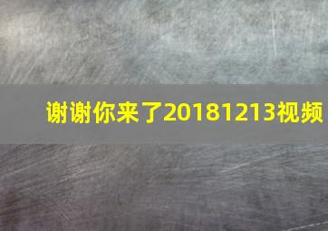 谢谢你来了20181213视频