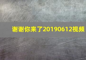 谢谢你来了20190612视频