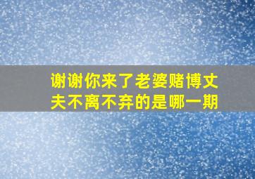 谢谢你来了老婆赌博丈夫不离不弃的是哪一期