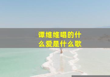 谭维维唱的什么爱是什么歌