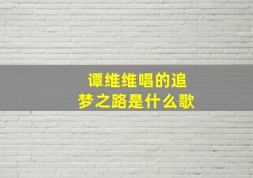 谭维维唱的追梦之路是什么歌