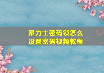 豪力士密码锁怎么设置密码视频教程