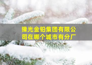 豫光金铅集团有限公司在哪个城市有分厂